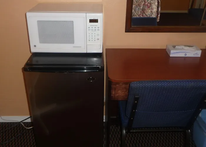 Palms 4*