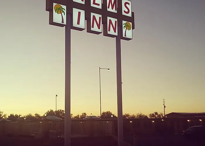 Palms Gila Bend