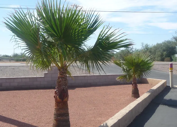 Palms Motel
