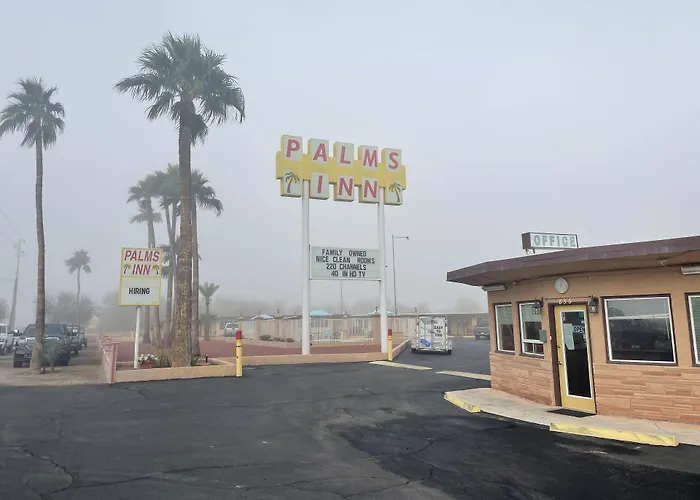 Palms 4*