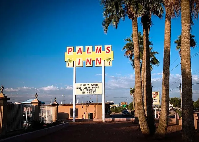 Palms 4*