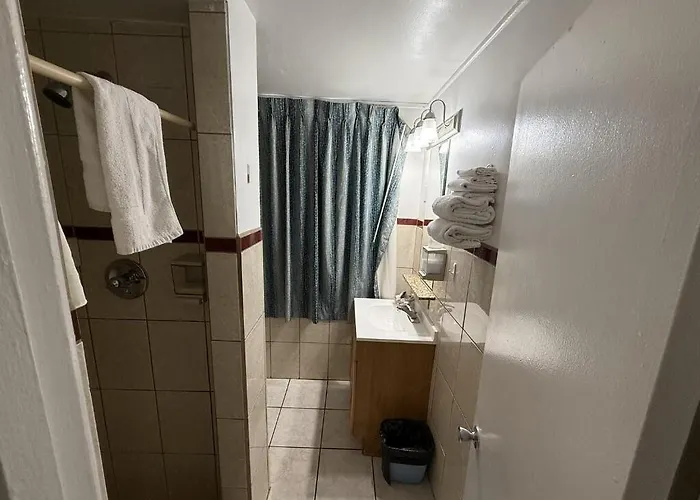 Palms 4*